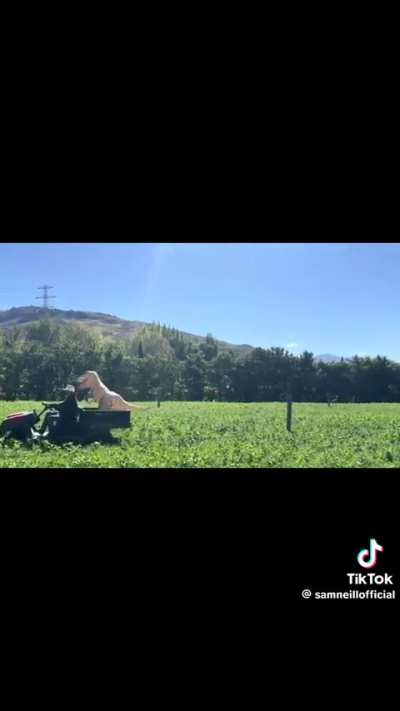 Sam Neill on his tiktok