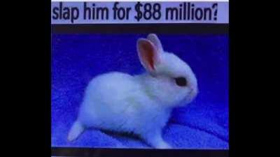 It’s funny, now laugh.