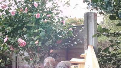 Cue the slide whistle