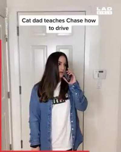 This guy is an ultimate cat dad..