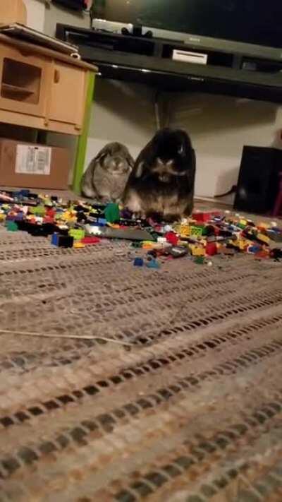 Yarrrrrr....this be our lego wench!