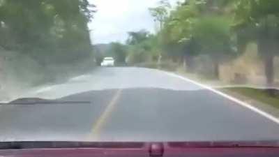 We just got it washed, too