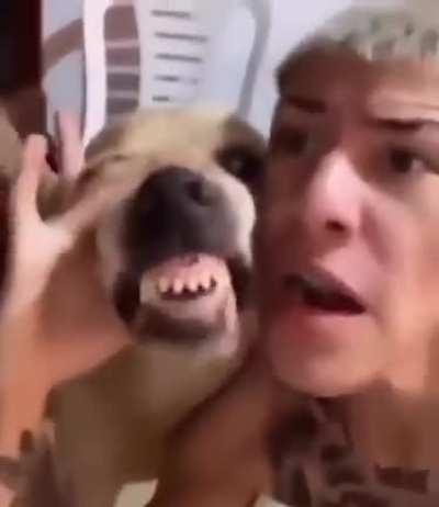 beelce y princesa cuando encuentran un bebe sin ser mordido (estan celebrando)