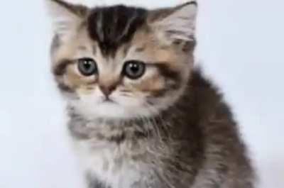 QUE carajo es lo de abajo!?