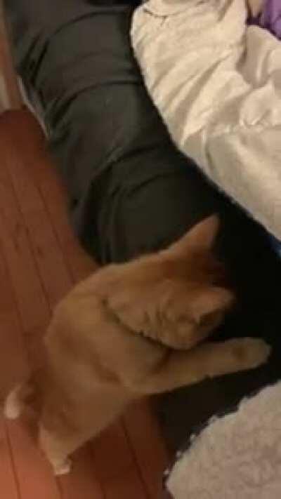 Startled from checking the covers