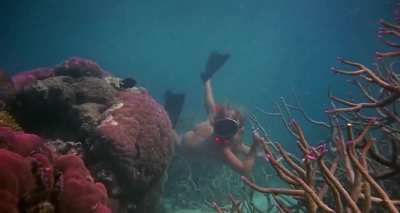 Helen Mirren - Age of Consent (1969)