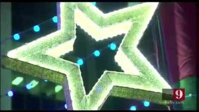 We also saw this dog [Haiku]