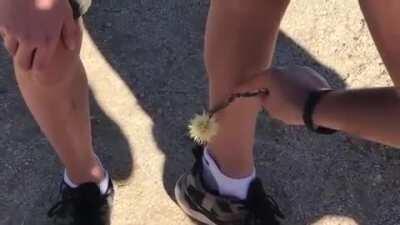 Well that didn't go as planned. Did it?