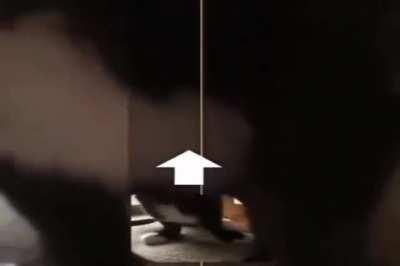 this cat is fucked up