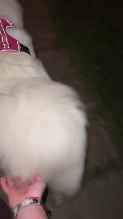 Irresistible temptation 🍑