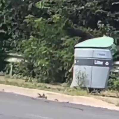 A naked man dragged a Canadian cop into the bushes.