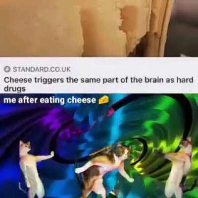 Invest if you are high on cheese