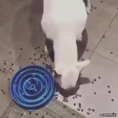 These innovative dog bowls