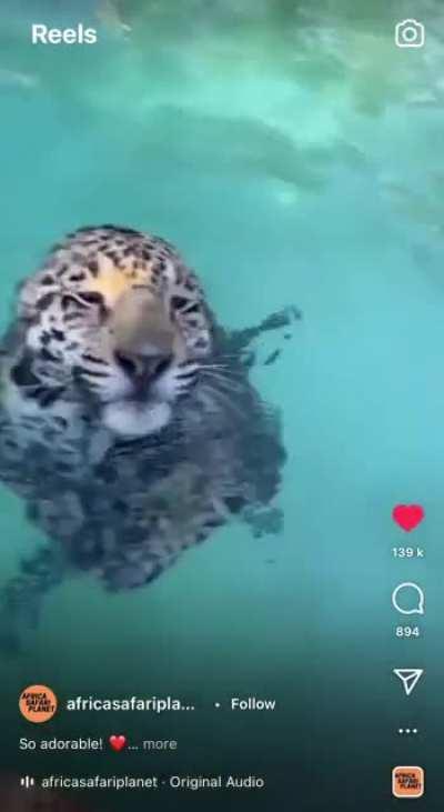 NO LONGER FORBIDDEN??