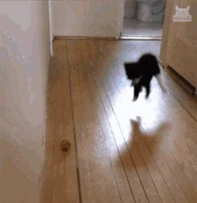 me when the ai references something from 3 paragraphs ago