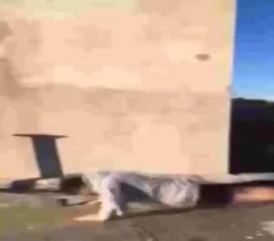 Humor del siglo XXI😂😂🤣😂 (by rodsquare).