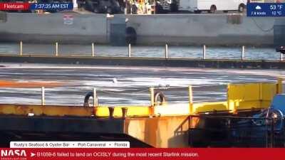 OCISLY successfully returned the three seagulls