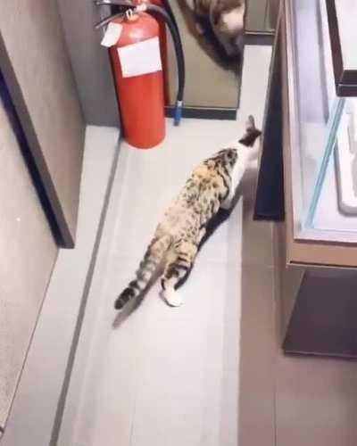 This most definitely should be here:)