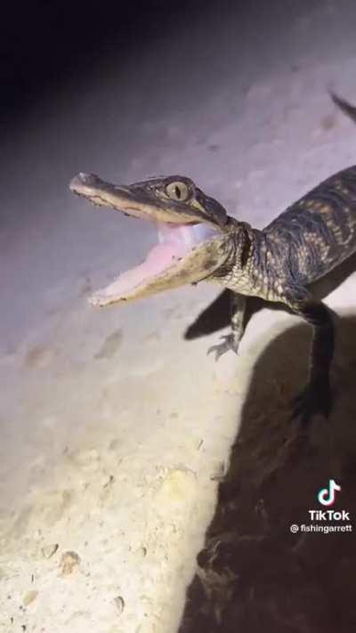 This dude's whole channel makes my palms sweat 