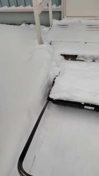 what do you guys think about snowplowing action?