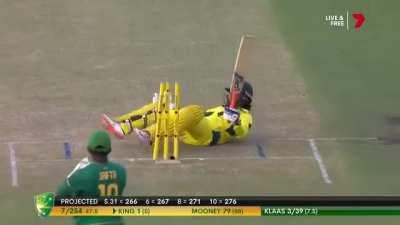 No ball hit wicket goes for 6
