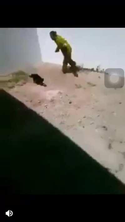 Spider-Cat, Spider-Cat, ain't nobody got time for that, runs away fast as shit, if you catch him you gon get bit