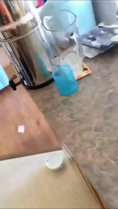 Just a cat being a cat...