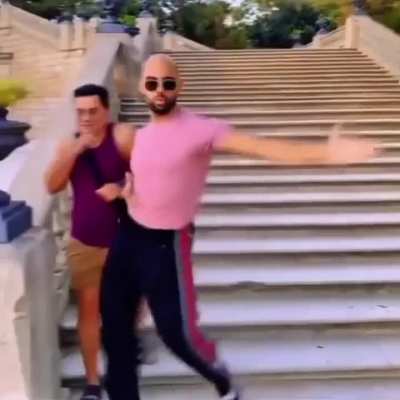 Me if tapetum, pedigree,fig,golgi,surface tension are given as bonus