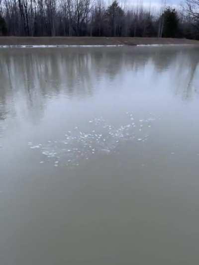 the beauty overwhelms me 🥹