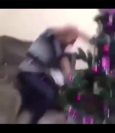 Creo que Le gusta los Arboles (O talvez los odia) 