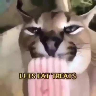 floppa says happy birthday :))))) (not oc)