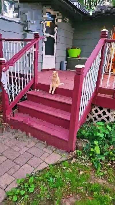 Should I wake them up at 3 am... or make it 4 am