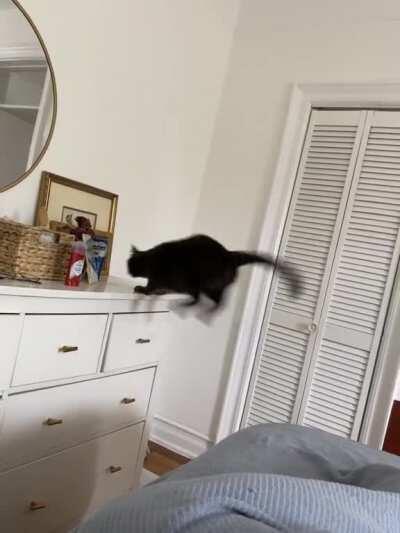 He spent a good amount time calculating the best landing spot