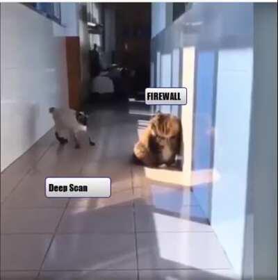 Brilliant, absolutely love this