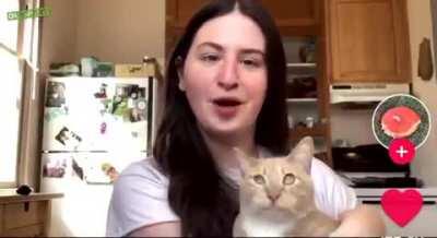 Cats are tired of this pronoun shit