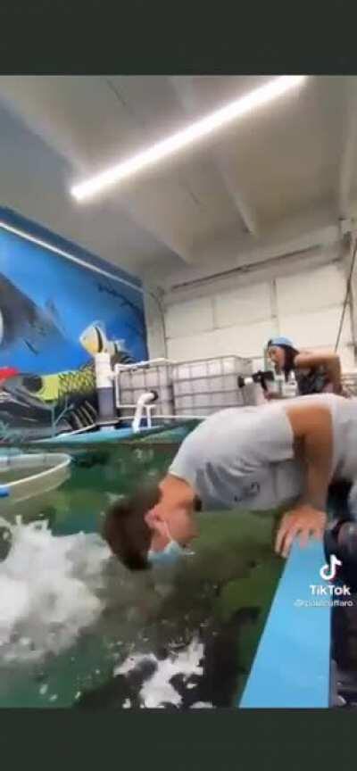 Did the fish knock him out? I'm so confused