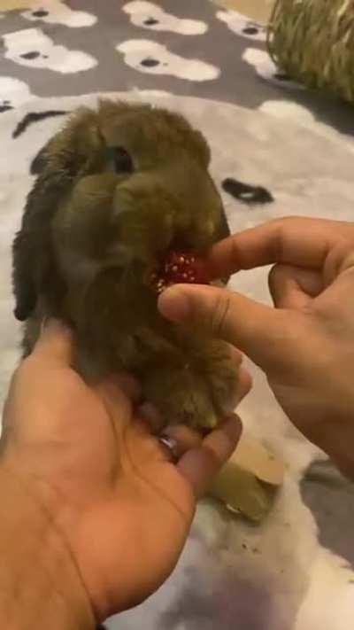 Please sir, can I have some more?