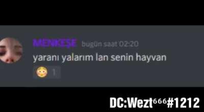 THE ZARGORYAN GALAKSİSİ DROP İT V2 :D