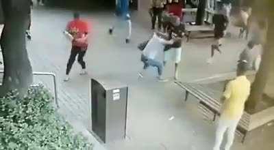 Purse Snatcher Pays A Heavy Price...