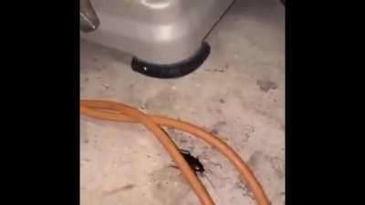 How it feels to play Driller