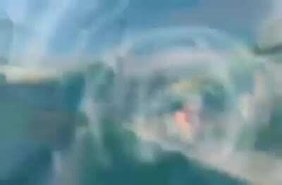 UP para que lo vea el viejas