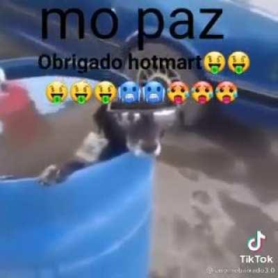 MUQUINHA QUANDO CONSEGUIU DAR CALOTE DO CHURRAS DO CRIA 😎✌️