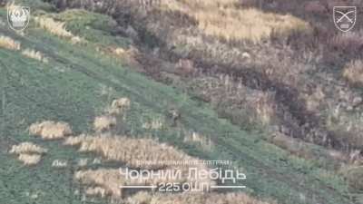 Drone operators of the 225th Separate Assault Battalion eliminate Russian assault troops that got lost in the Donetsk region. Published 14/10/2025.