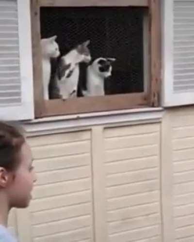 The most passionate audiences