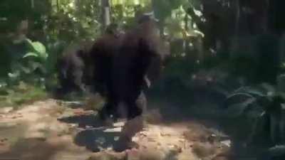 obama hamburger sussy balls