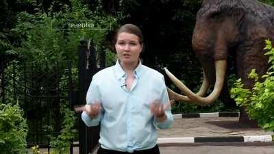 Дарвиновский Музей. Почему мы обезьяны? Почему не котики? Происхождение человека. Елена Сударикова