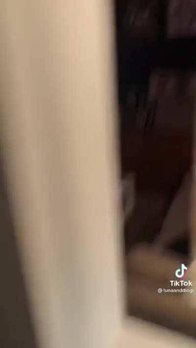 Girlfriend surprises boyfriend with a visit from his online gaming friend