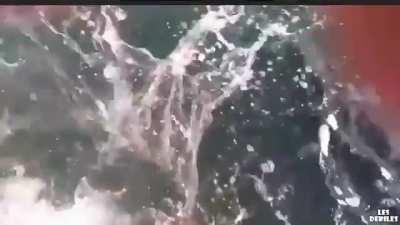 HMC while I try to be funny and then rescue me.