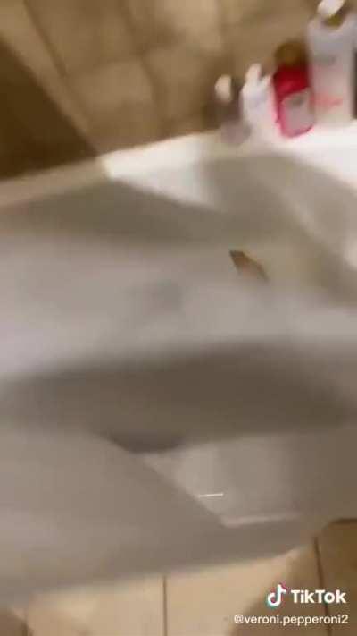 Checking to see what’s taking so long