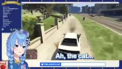 OH NOO, NOT THE CAT!!!